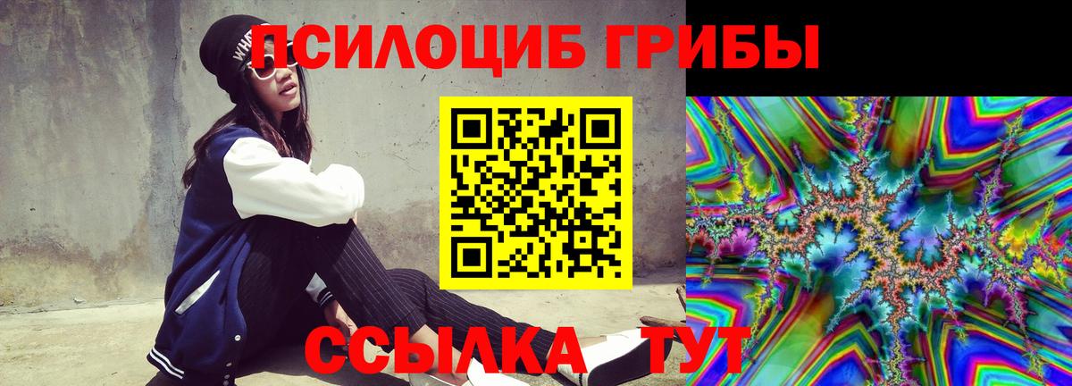 Донской  Галлюциногенные грибы ЛСД  Вход с VPN 