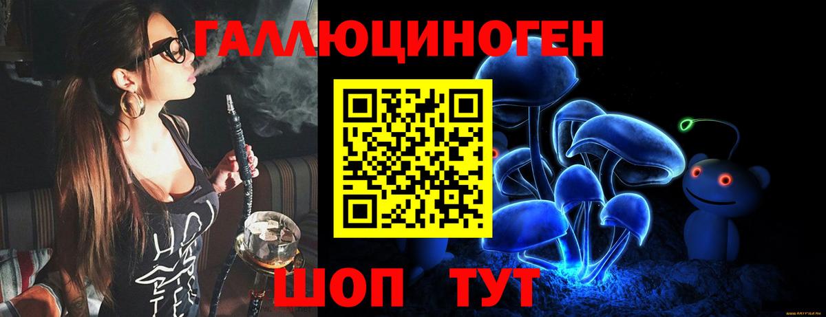 Псилоцибиновые грибы Psilocybe Донской